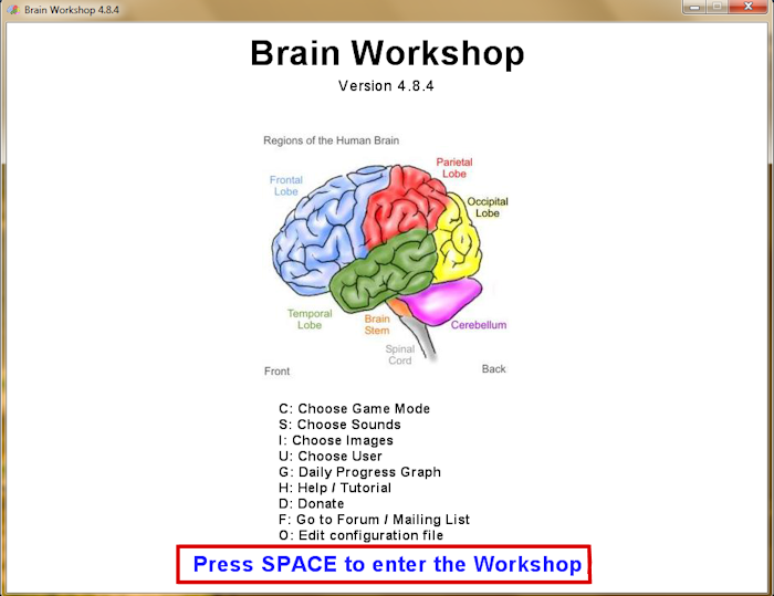 BrainWorkshop1