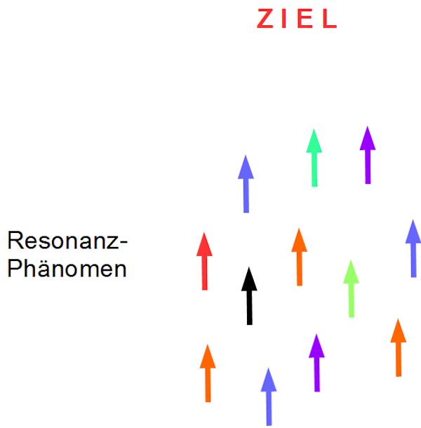 NeuroSonanz-3-7
