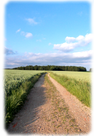 Weg